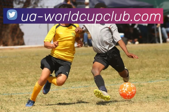 亚洲体育博彩平台平台生态图