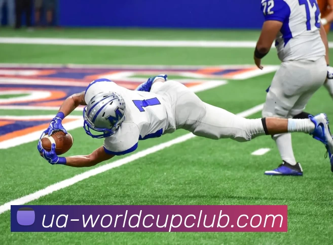 亚洲体育博彩平台全站App